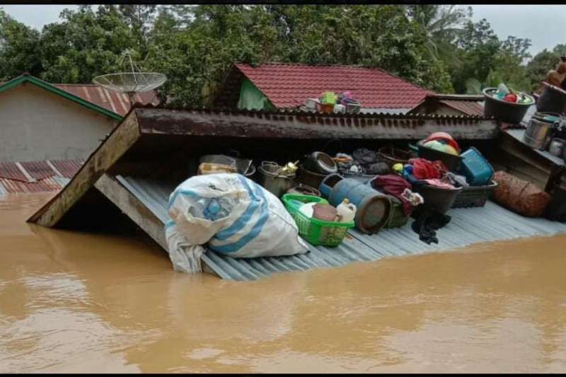 2.000 Rumah Terendam Banjir di Kalbar, Lasarus Desak Pemerintah Segera Lakukan ini