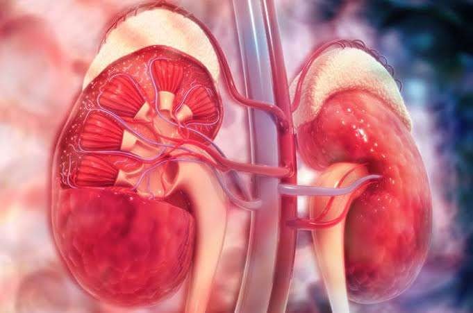 Dinkes catat 23 kasus gagal ginjal akut misterius di Jatim