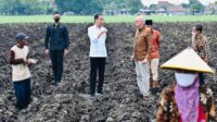 Pemerintah Siapkan Lahan Tebu Dukung Swasembada Gula