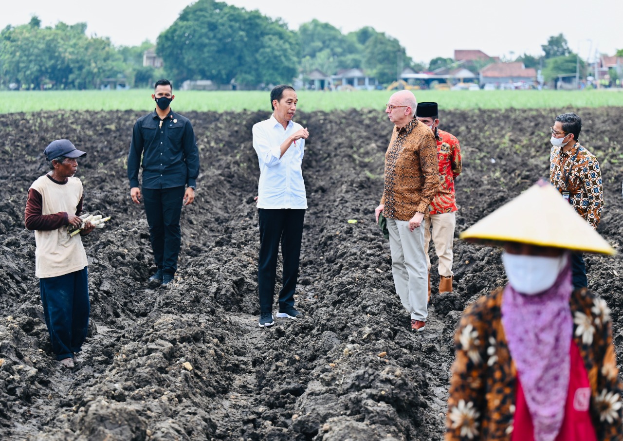 Pemerintah Siapkan Lahan Tebu Dukung Swasembada Gula