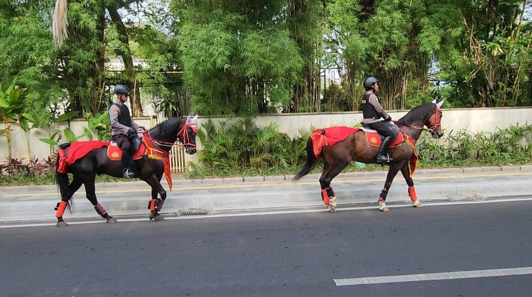 Kompolnas Apresiasi Polri Libatkan Pecalang Amankan KTT G20