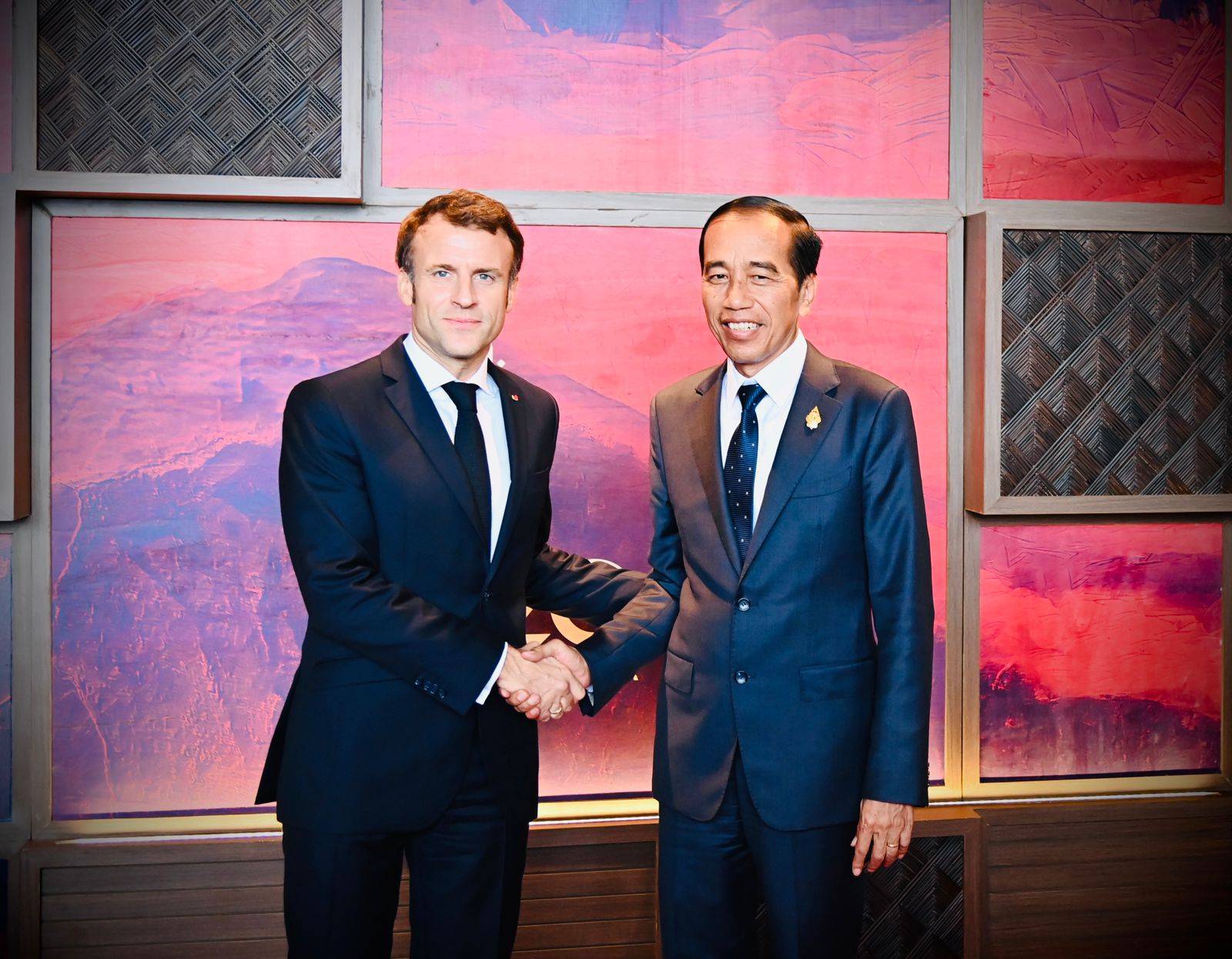 Presiden Jokowi Gelar Pertemuan Bilateral dengan Presiden Prancis