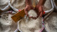 Kemendagri Heran Harga Beras Naik di Pekan Ketiga