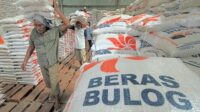 Jelang Nataru, Bapanas Pastikan Harga Beras Stabil