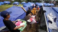 Usai Gempa, Pemkab Cianjur Siapkan Alih Profesi Petani