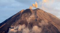202211091955-main.cropped_1667998543 Gunung Semeru Erupsi, Muntahkan Abu Setinggi 1,5 Km