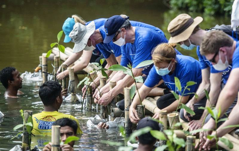 EU sepakati UU penghilangan CO2 dengan perluasan hutan