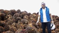 Mendag Soroti Maraknya Impor Buah dan Sayur
