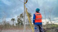 PLN amankan jaringan listrik usai Gunung Semeru eurupsi