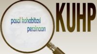 Pakar Kriminologi UI optimis pasal terkait kohabitasi tak langgar HAM