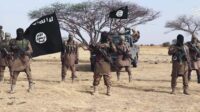 Boko Haram tewaskan 17 warga sipil di Nigeria