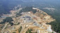 Pemerintah Perlu Melakukan Beberapa Ekosistem Untuk Mengatasi Hutan Batangtoru di Tapanuli yang saat ini Terancam