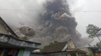 Gunung Semeru Kembali Erupsi, Ketinggian Kolom Abu Mencapai 400 Meter di Atas Puncak