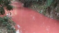 kali di bekasi tercemar Diduga Akibat Tercemar Limbah Industri, Air kali Ulu di Bekasi Berubah Warna Merah Muda