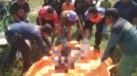 2 Orang Tewas Tertabrak Kreata Api di Cirebon, Humas KAI Minta Warga Agar Disiplin Berlalulintas