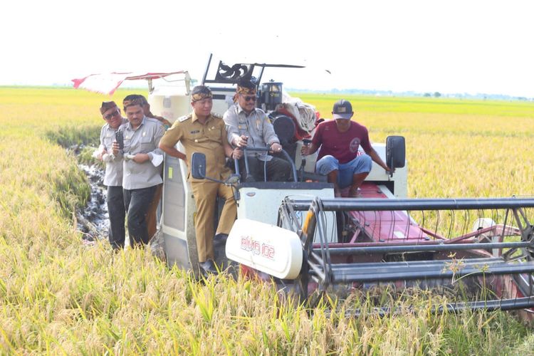 Mentan puas atas produksi padi di Karawang