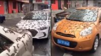 Viral Fenomena Hujan Cacing di China, Ini Beberapa Dugaan Penyebabnya