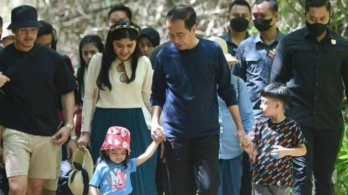 Jokowi dan Keluarga Nyaris Santap Makanan Berformalin saat Liburan di Labuan Bajo, Ini Kronologinya