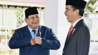 Survei Ipsos: Efek Jokowi kian tingkatkan elektabilitas Prabowo-Gibran