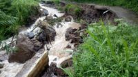 Banjir rusak saluran irigasi, 100 hektare sawah terancam kekeringan