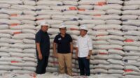 Bapanas data stok beras nasional capai 4 juta ton di awal tahun