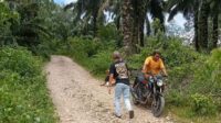 Jalan Menuju Desa Aloban Portibi Sangat Memprihatinkan