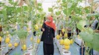NTP di Jatim alami kenaikan sebesar 1,13 persen