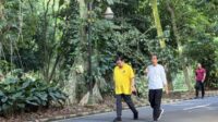 Pertemuan Jokowi-Airlangga di tengah rasa nyaman dengan Golkar