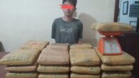 Kurir ganja 35 kilo gram