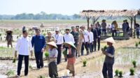 Kementerian BUMN resmikan media center dukung keterbukaan informasi