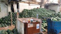Penjual Semangka Tewas Disiram Air Keras, Pedagang Bercerita Cekcok Lama