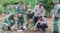 Polisi dan TNI di Lampung tanam 1.000 pohon guna lestarikan lingkungan