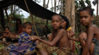 Anak -anak suku anak dalam