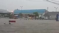 Banjir di Sukabumi rendam rumah dan lahan pertanian serta tambak