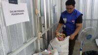 BSN: Produk sirkular sulit berkembang jika andalkan mekanisme pasar