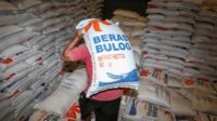 Impor Beras Bulog Sebut Eropa Mulai Konsumsi Beras