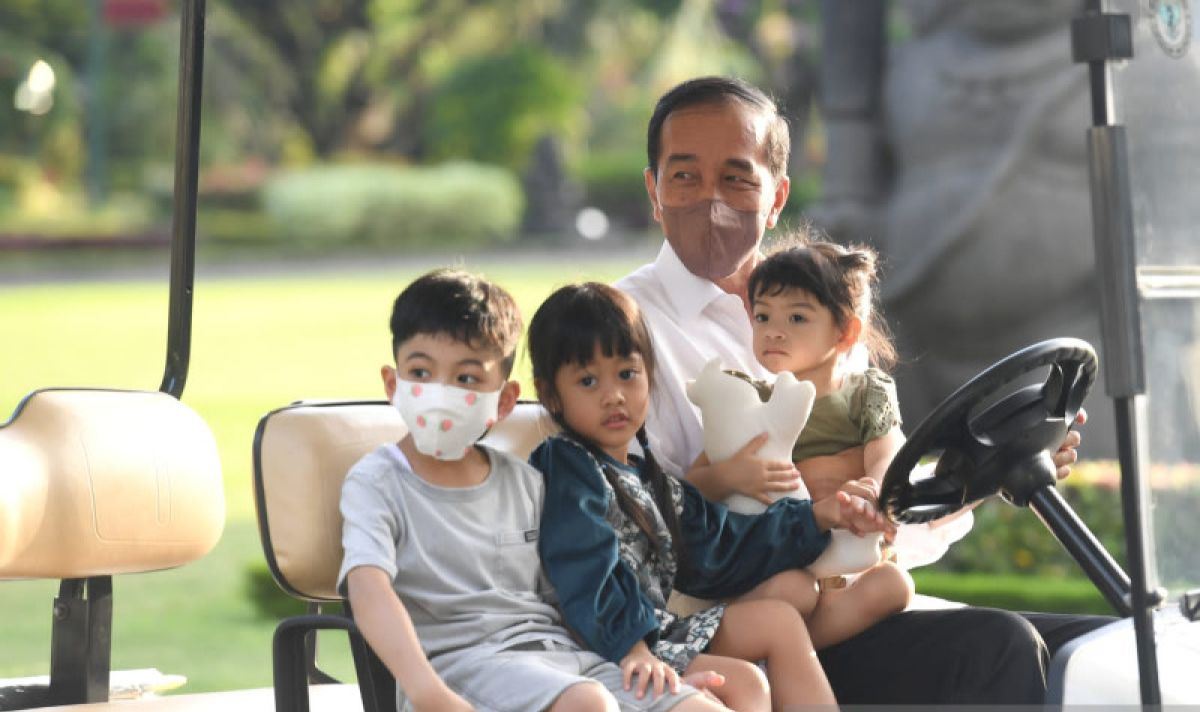Presiden Jokowi bagikan momen momong cucu di media sosial