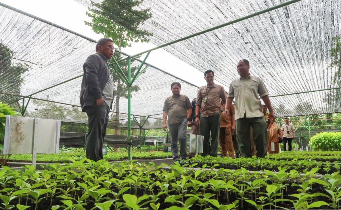KLHK perluas skema bibit gratis hingga ke desa