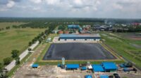 Pertamina NRE dan PTPN III sepakati komersialisasi kredit karbon