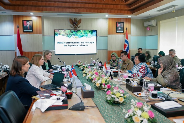 RI dan Norwegia Mulai Pendanaan Tahap 4 Penurunan Deforestasi