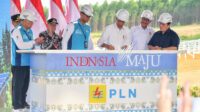PLN operasikan PLTS tahap I kapasitas 10 MW di IKN