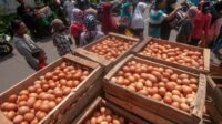Bapanas Bantah Bantuan Pangan Stunting Dongkrak Harga Telur