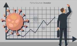 Lima Provinsi Ini Bakal Menjadi Pusat Perhatian Investor di Tahun 2024