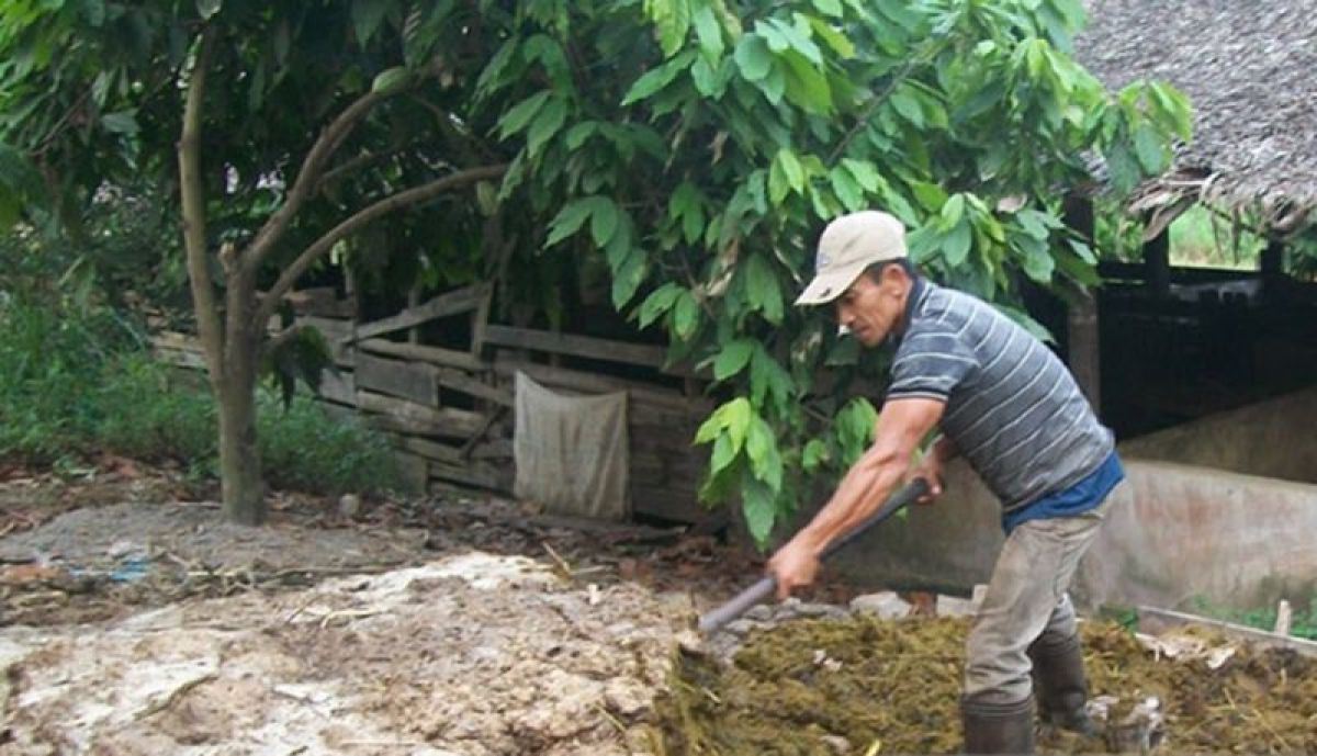 Kalbar gencarkan Gerakan Tani Pro Organik atasi pupuk mahal