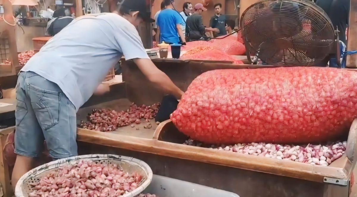 Harga bawang merah di Pasar Induk Kramat Jati capai Rp70 ribu/kilogram