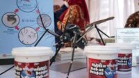 Kemenkes: Penyebaran Wolbachia Tak Ada Hubungan dengan DBD