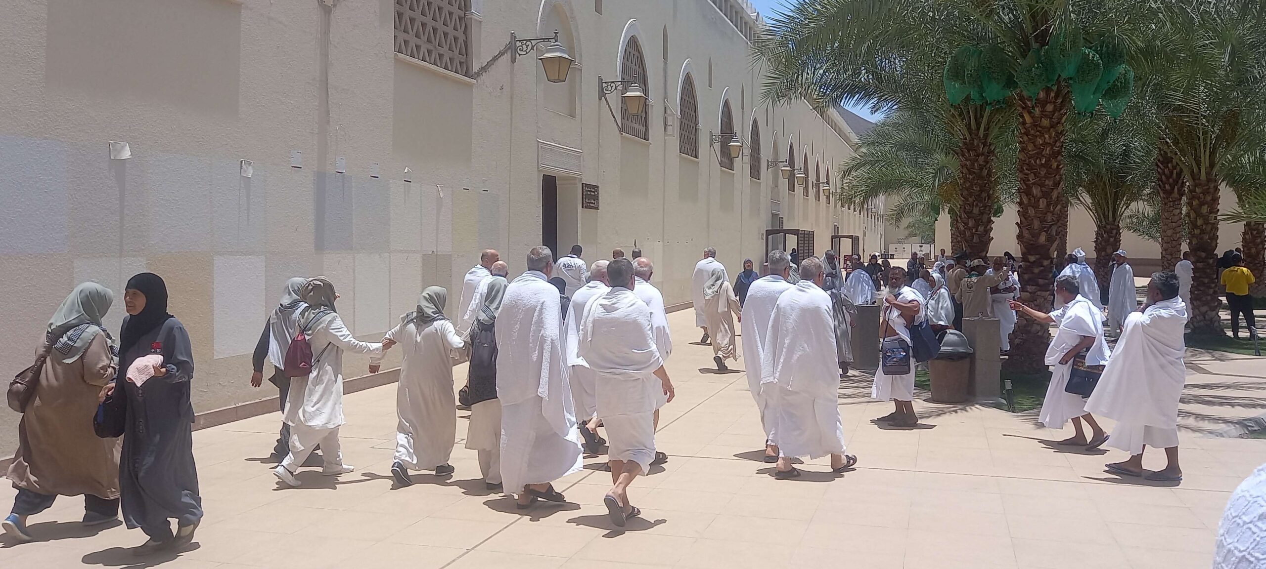 Visa Umrah, 24 Jemaah Diamankan Petugas Masjid Bir Ali