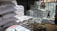 Pupuk Indonesia siap salurkan 9,55 juta ton pupuk bersubsidi di 2024
