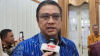 Dede Yusuf minta pemerintah perketat akses anak terhadap gim daring