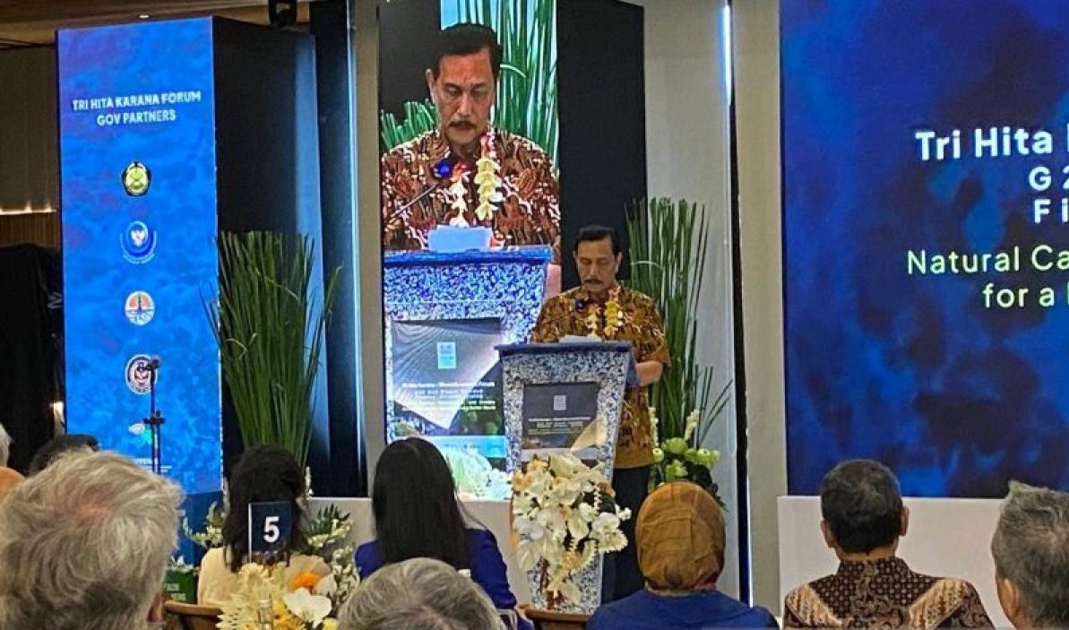 Luhut ajak Elon Musk berkontribusi dalam rehabilitasi mangrove